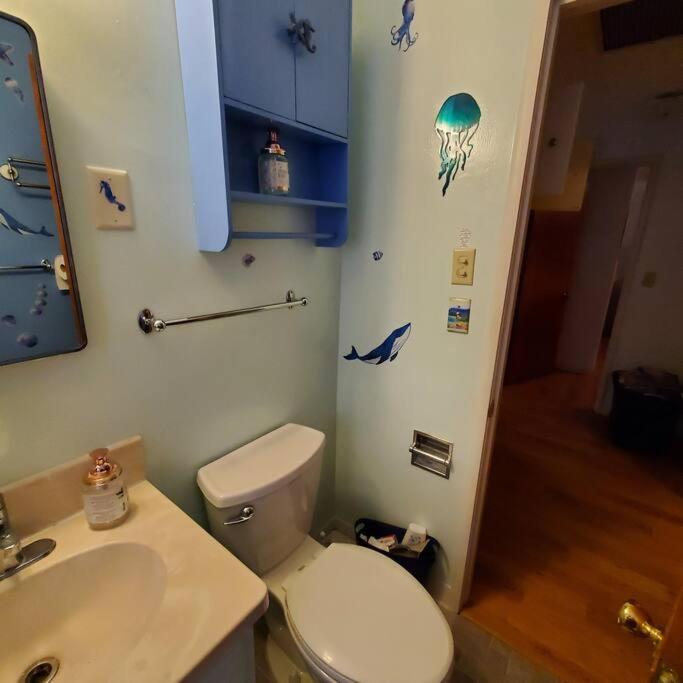 Sweet 2 Bedroom Close To U Of Oregon & Track! Eugene Bagian luar foto
